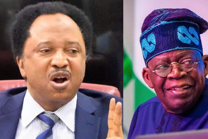 Senator Shehu Sani, Bola Ahmed Tinubu. [Facebook]