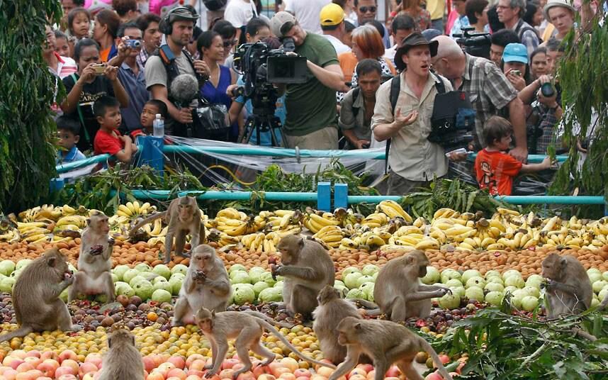 The annual Monkey Buffet Festival at a temple in Thailand [TheTelegraph]
