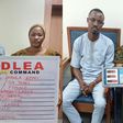 Suspected drug trafficker [NDLEA/X]
