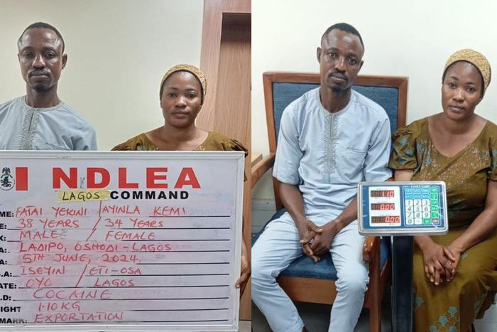 Suspected drug trafficker [NDLEA/X]