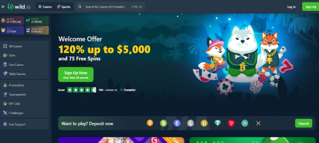 Wild.io - Best Live Dealer Casino for Crypto