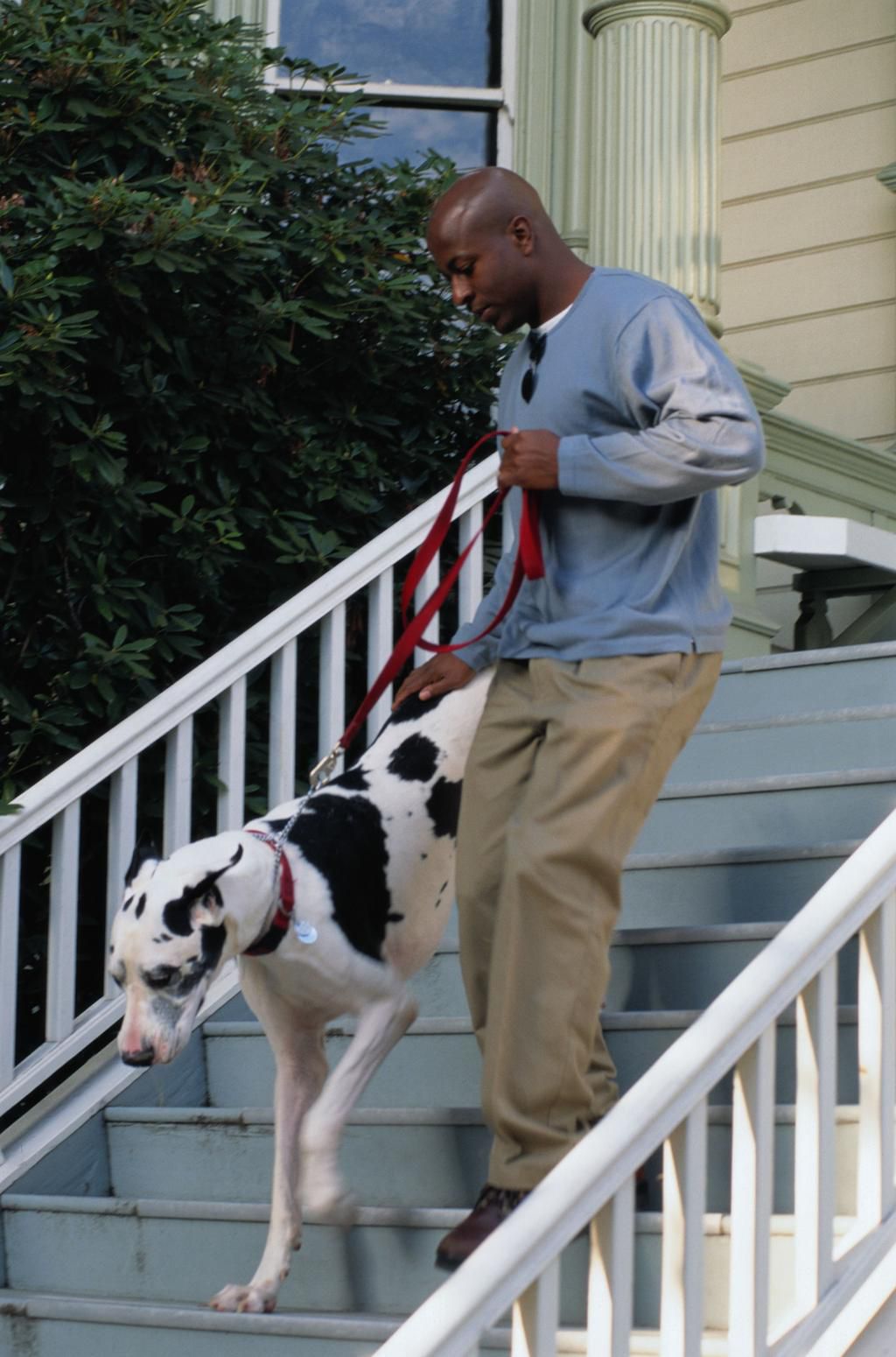 Man Walking His Pet Dog Down the Stairs