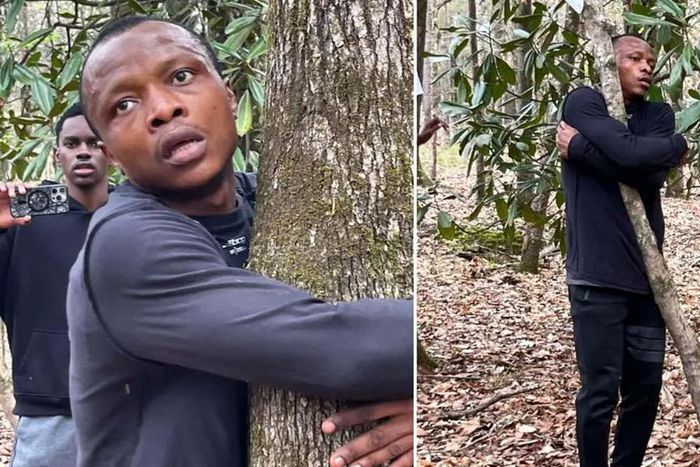 Ghanaian hugs over 1,000 trees in 1 hour to set new world record [GWR]