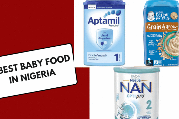 Best baby food in Nigeria