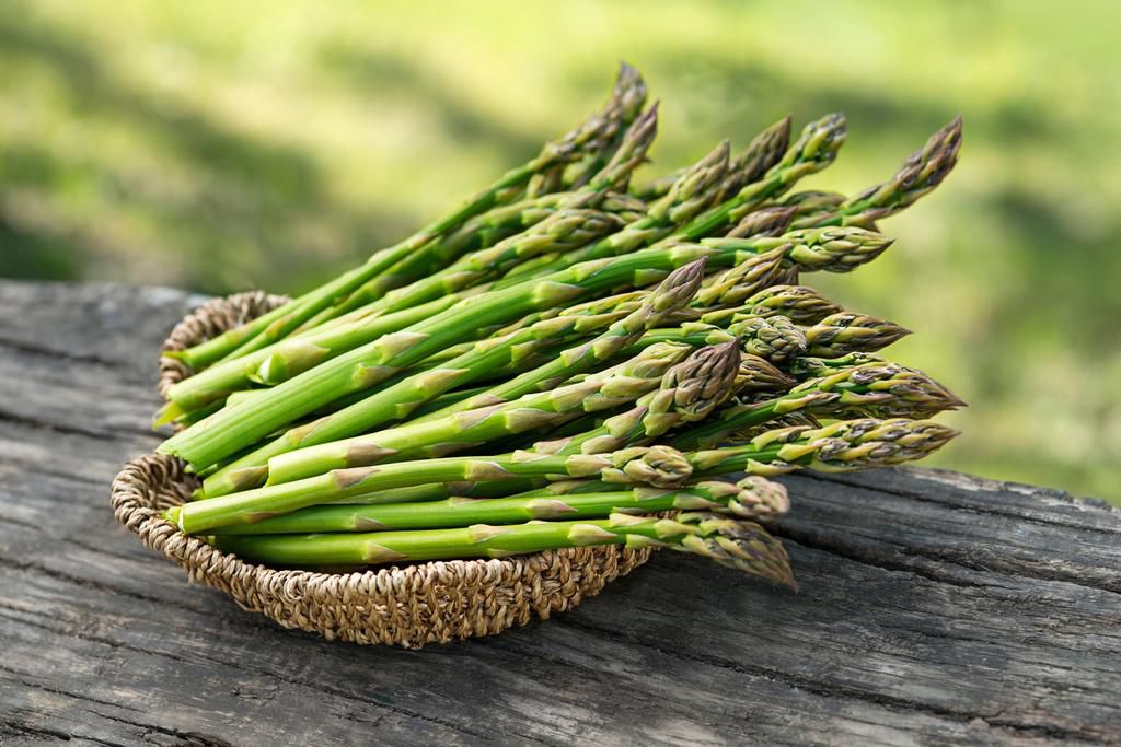 Asparagus [DailySabah]
