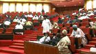 Nigeria Senate in session