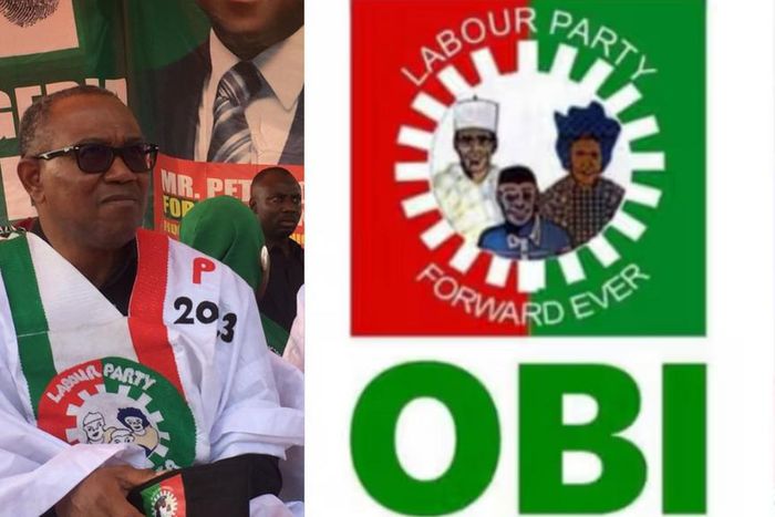 Peter Obi speaks on his LP membership after his hot takes on Obidient Movement