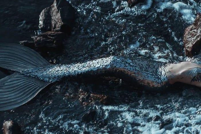 Mermaids may or may not be real [SmokeyMystery]