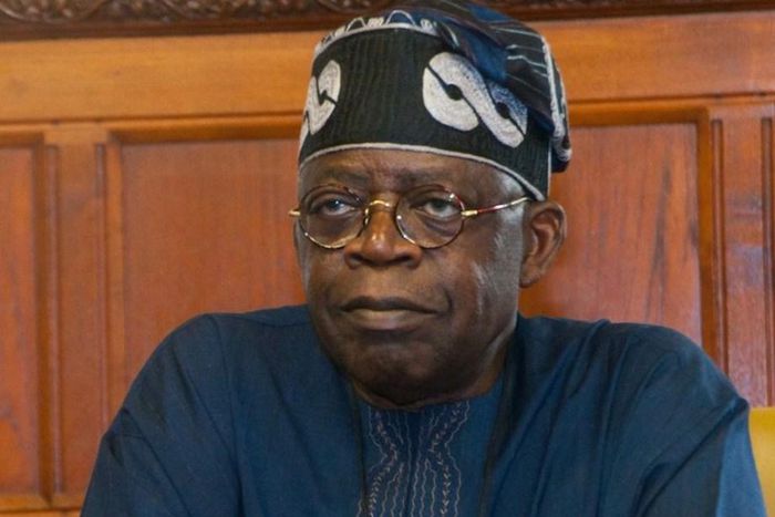 President Bola Tinubu [PM News Nigeria]