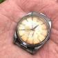 Time piece thought to have been eaten by a cow has turned up half a century later [BBC]