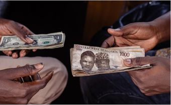 The Nigerian Naira has become the worst currency in the past few months according to financial experts. [Getty Images]