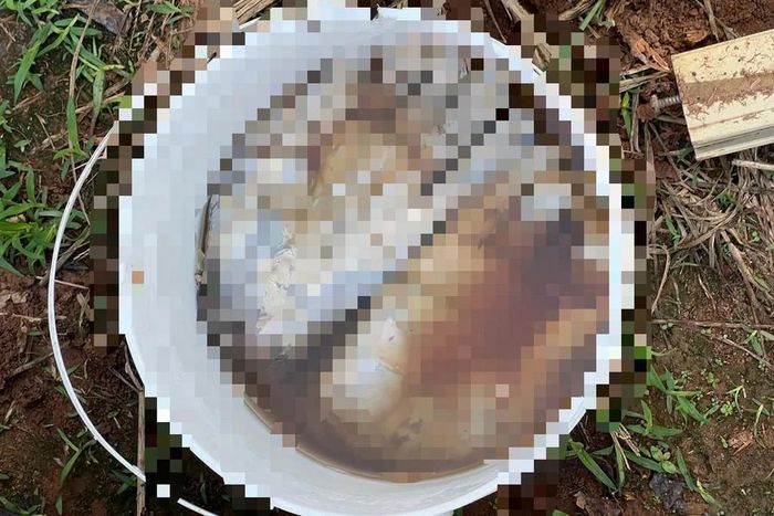 The police acted on reliable Intel [The Cable]