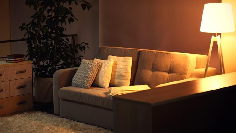 A living room [Shutterstock/Africa Studio]