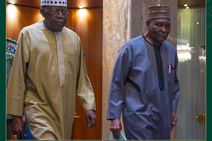 Former Head of State, Gen Yakubu Gowon meets President Bola Tinubu at the State House, Abuja [Presidency]
