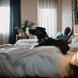 A couple in the bedroom and their dog lying in bed