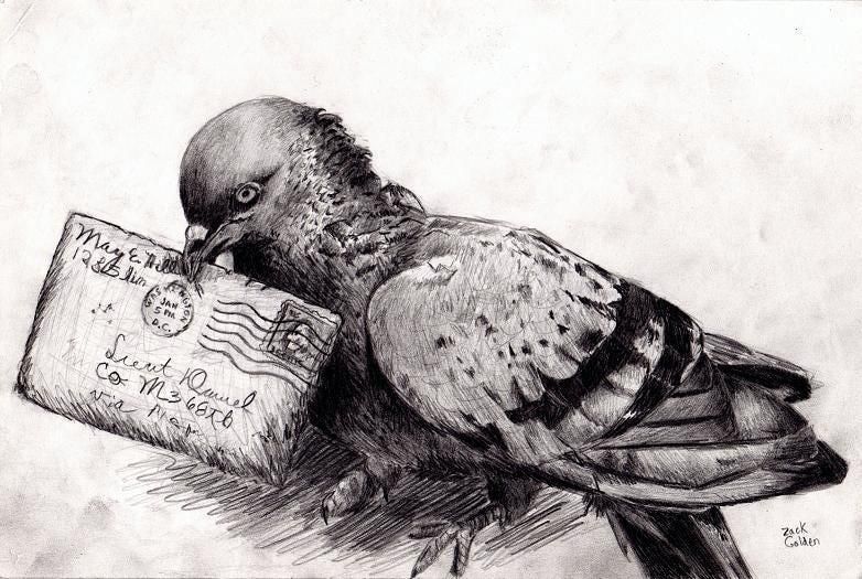 A messenger birds [Medium]