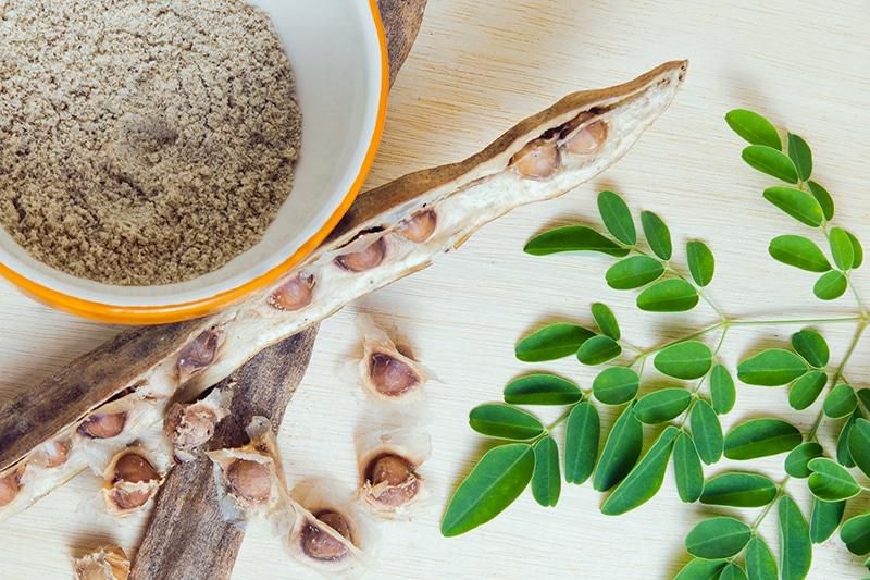 The benefits of moringa [AHealthyLeaf]