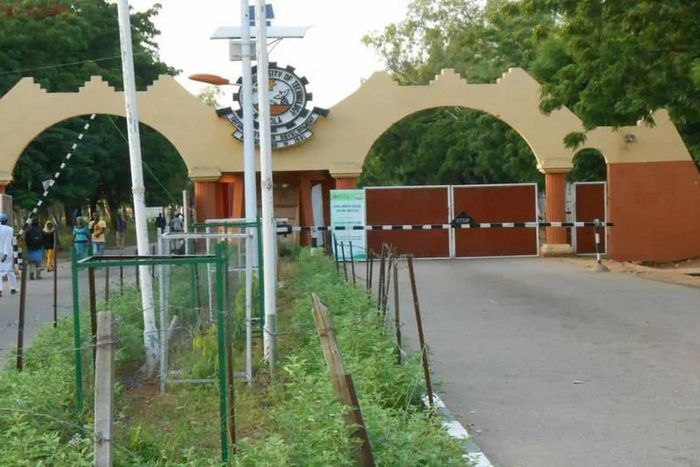 Only 53 out of 5,545 graduates of Adamawa university bag first class