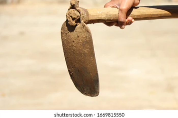 A hand holding a hoe [Shutterstock]