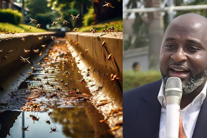 Hon. Amobi Ogah [Facebook/Meta A.I image]