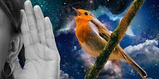 Spiritual significance of birds singing in the morning or night [yourtango]