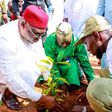 Ministry partner NYSC, schools to plant trees in Adamawa [TG News]