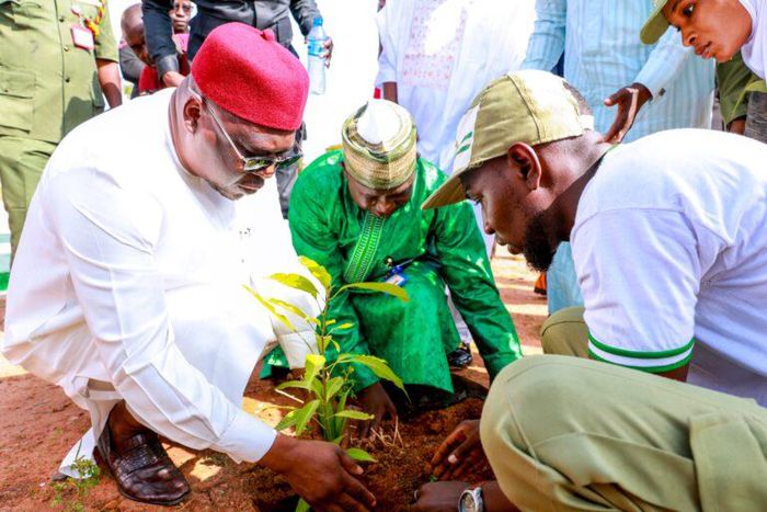 Ministry partner NYSC, schools to plant trees in Adamawa [TG News]