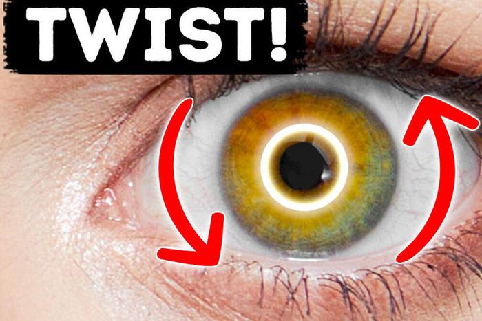 Did you know the eyes could twist [BrightSide]