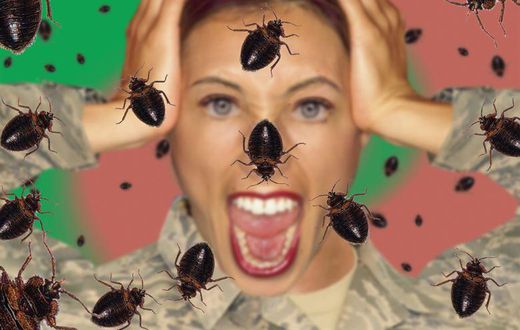 Is your home bugs infested [BodyDesignsbyMary]