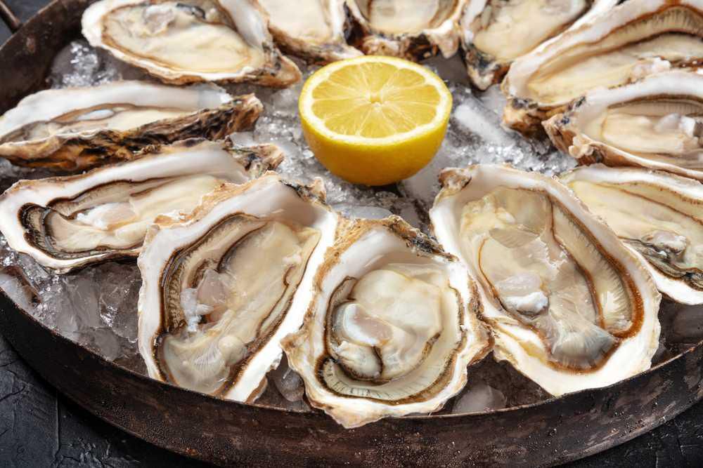 Oysters have their health benefits [CorrieCooks]