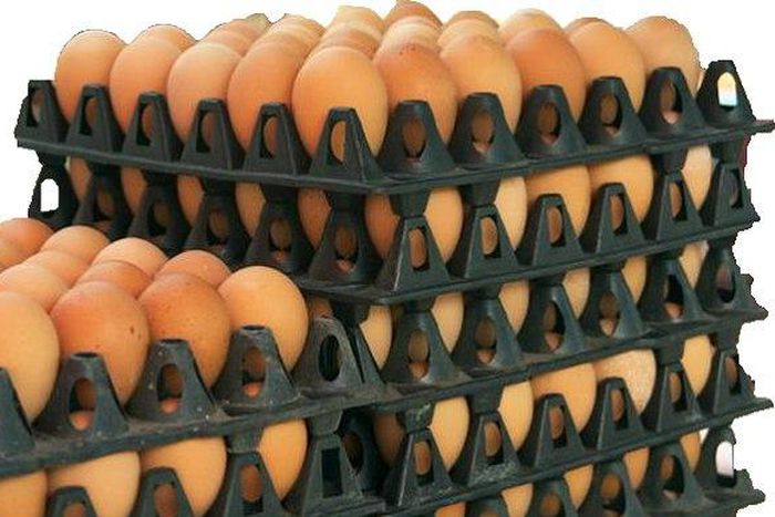Crates of eggs