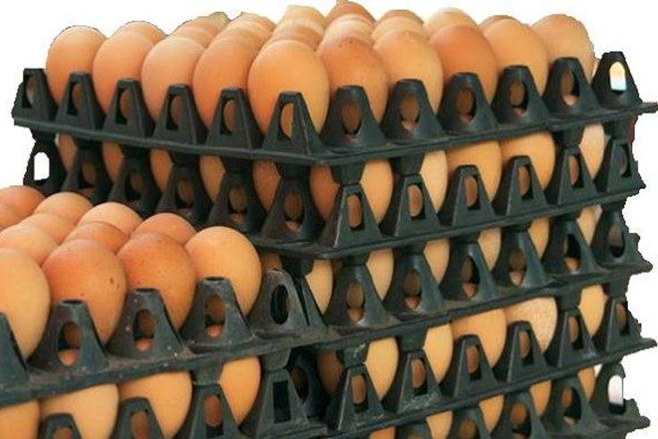 Crates of eggs