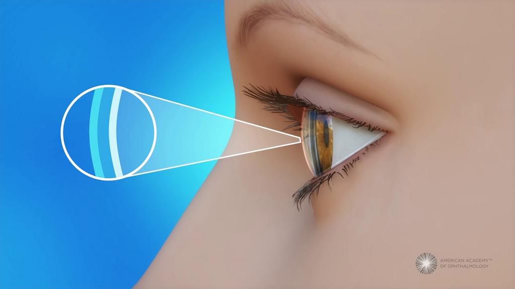 Basal tears thin layer of tears the eyes produce [AmericanAcademyofOphthalmology]