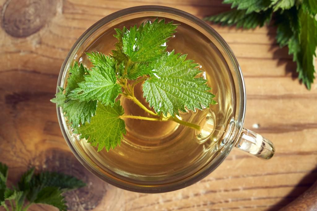 Nettle tea [MKL]