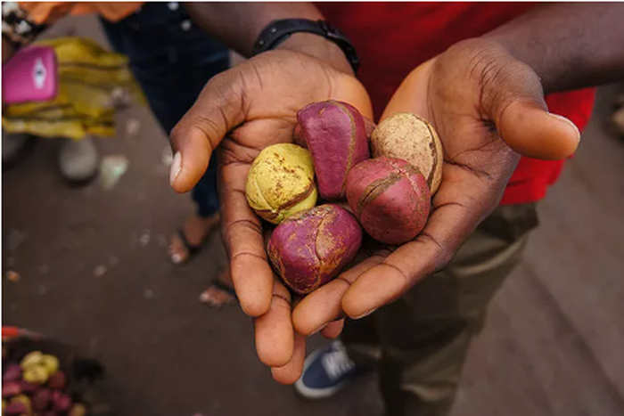 Health benefits of kola nuts [DoveMed]