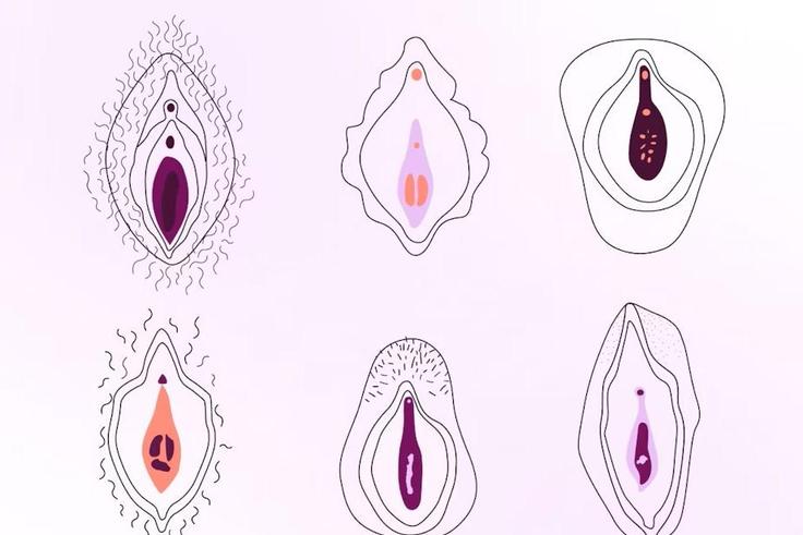 The hymen is a thin membrane located at the entrance of the vagina [Natural cycles]