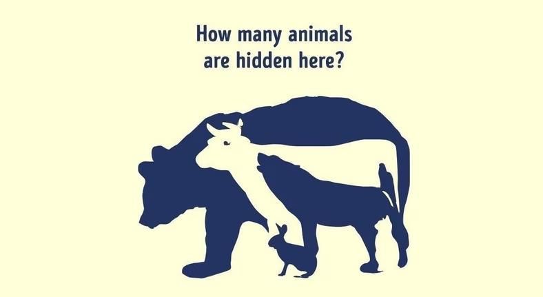 How many animals do you see? [Threads/@quotelectures]