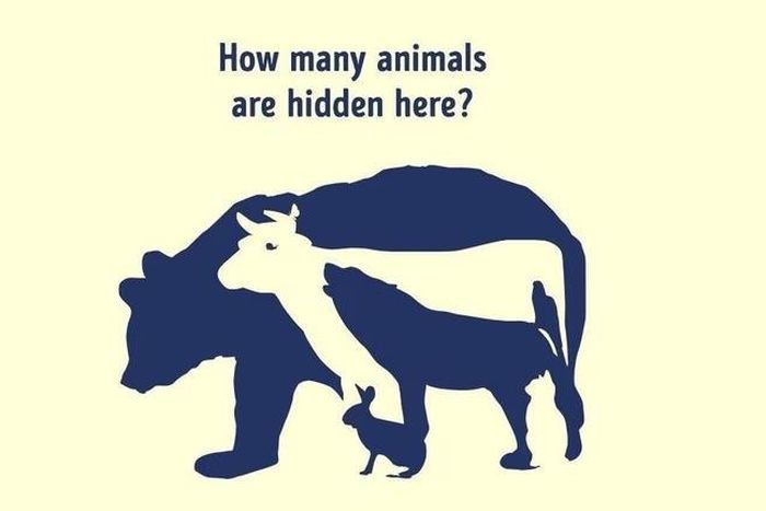How many animals do you see? [Threads/@quotelectures]