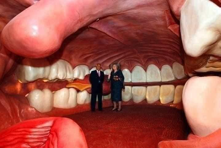 The Corpus Museum in Netherlands [Xcom]