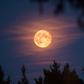 A full moon [Getty]
