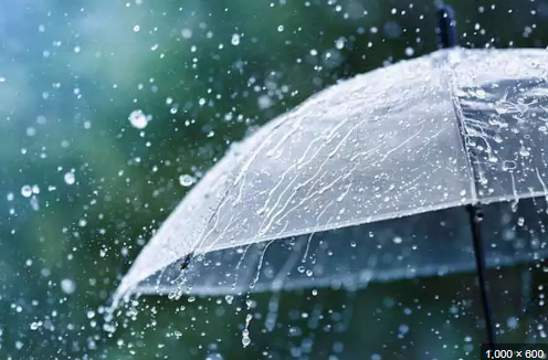 Heavy rainfall [The Hans India]