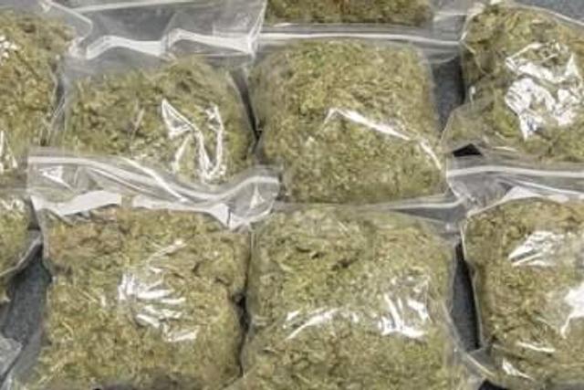 Two suspects arrested with 462kg of Indian Hemp.