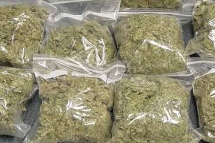 Two suspects arrested with 462kg of Indian Hemp.