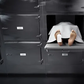 What happens to the body after death [Shuttershock]