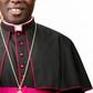 A Catholic bishop [Daily Post Nigeria]