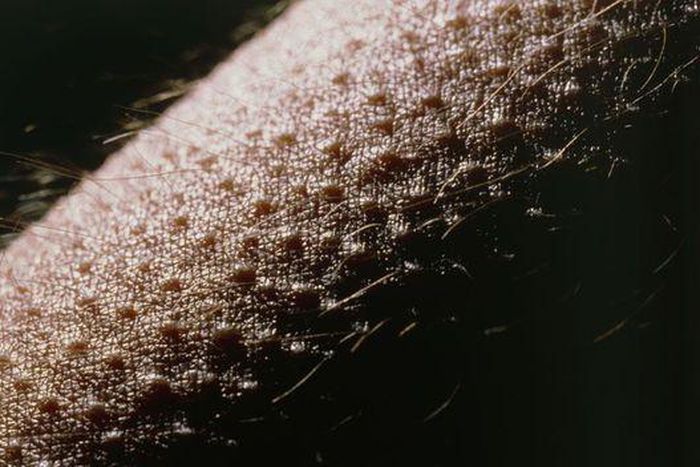 They are a signal that you cannot ignore.[BBC]