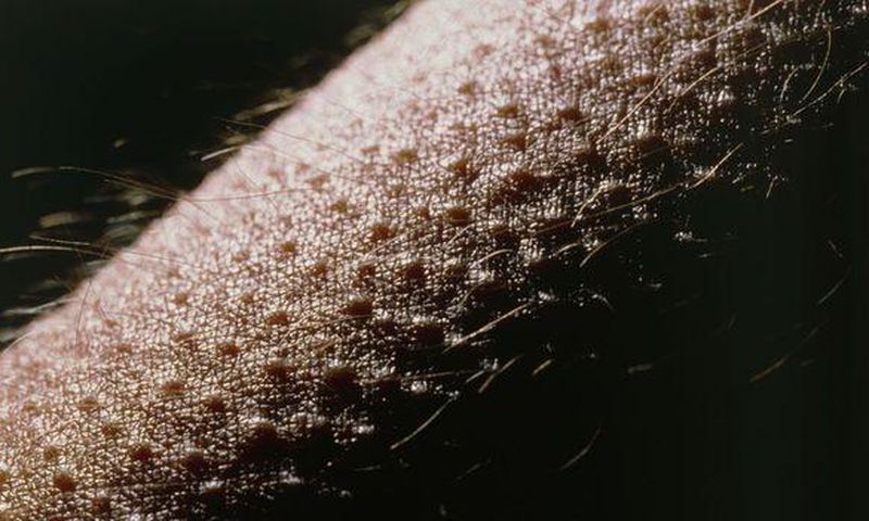 They are a signal that you cannot ignore.[BBC]