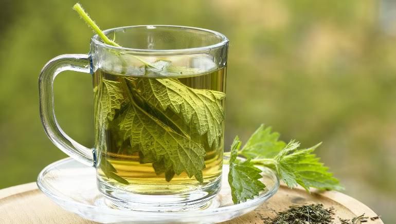 Nettle tea [Healthshots]