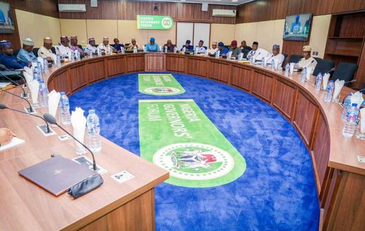Governors declare support for creation of state police after NEC