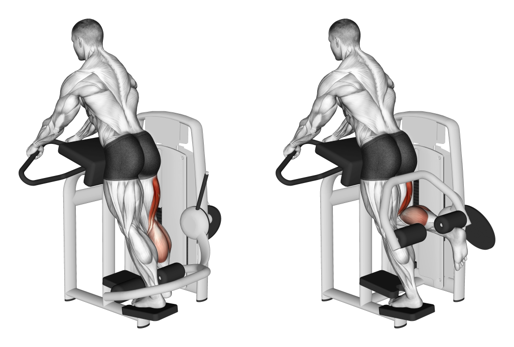 Hamstring leg curls (Inspire USA Foundation)